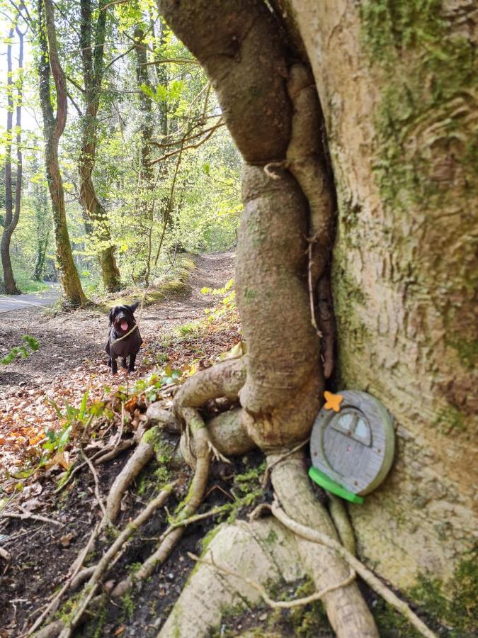 Old Road Cottage Pet Friendly Outdoors Beaches 니스 외부 사진