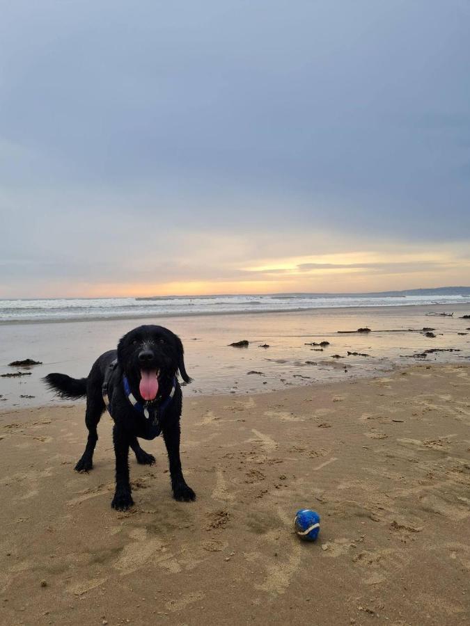 Old Road Cottage Pet Friendly Outdoors Beaches 니스 외부 사진